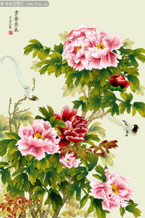 國色天香兩相宜 牡丹與芍藥的春季華章